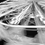 Ferris Wheel Black and White